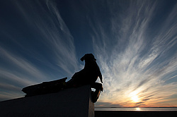 �����������. ���� ������. ��� ������