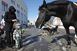 �����������. ���� ������. ��� ������