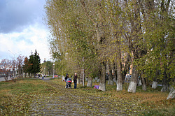 �����������. ���� ������. ��� ������