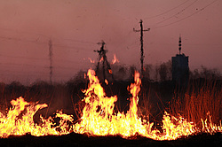 �����������. ���� ������. ��� ������