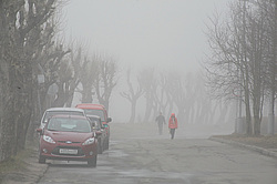 �����������. ���� ������. ��� ������