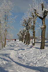 �����������. ���� ������. ��� ������