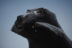 �����������. ���� ������. ��� ������