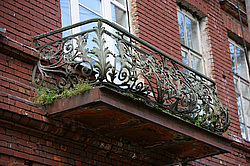 �����������. ���� ������. ��� ������