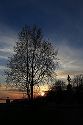 �����������. ���� ������. ��� ������