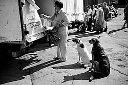 ����, �������