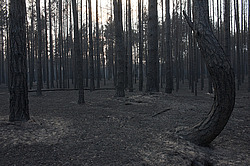 ������ � ����������� ������, ������ 2010