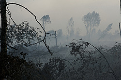 ������ � ����������� ������, ������ 2010