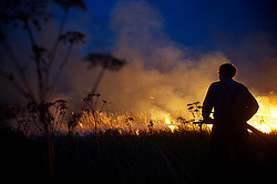 ������ � ����������� ������, ������ 2010