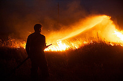 ������ � ����������� ������, ������ 2010