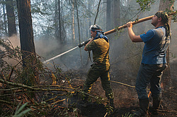 ������ � ����������� ������, ������ 2010