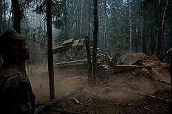 ������ � ����������� ������, ������ 2010