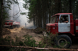 ������ � ����������� ������, ������ 2010