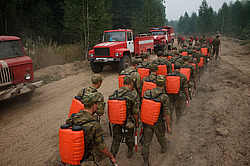 ������ � ����������� ������, ������ 2010