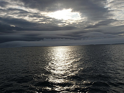 ������ � ���, ������
