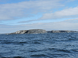 ������� ����������� ����������. ������� �� ����� �����, ������