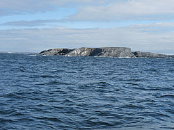 ������� ����������� ����������. ������� �� ����� �����, ������