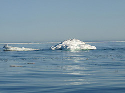 ������� ����������� ����������. ������� � ������� ������� ������, ����� �����, ������