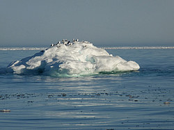 ������� ����������� ����������. ������� � ������� ������� ������, ����� �����, ������