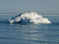 ������� ����������� ����������. ������� � ������� ������� ������, ����� �����, ������