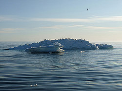 ������� ����������� ����������. ������� � ������� ������� ������, ����� �����, ������