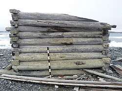 ������� ����������� ����������. ���������, ������ ������� ������, ����� �����, ������