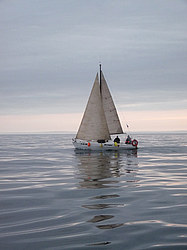 ������� ����������� ����������. ������� �� ������ �������, ������