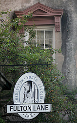 ���� ����������