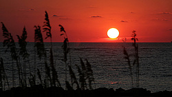 ���������, �����