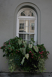 ���� ����������