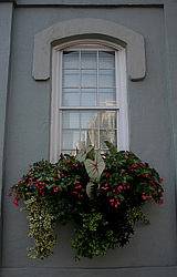 ���� ����������