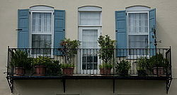 ���� ����������