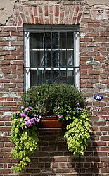 ���� ����������