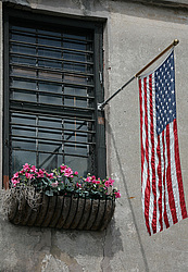 ���� ����������