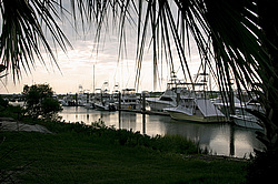 ���������, ����� ��������