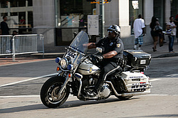 ���, �������