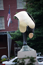 ���, �������