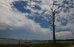 ��� �������, ������ ����