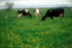 ������ �� ����