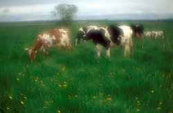 ������ �� ����