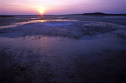 ������� �����