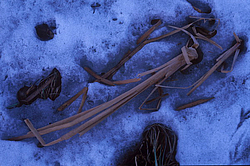 ������� �����