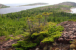 ������ ������� �����, ����� ����, ��������� �������