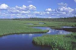 ����������� �����