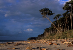 Bruce Bay West Coast, ����� ��������