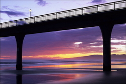 Christchurch New Brighton Pear, ����� ��������