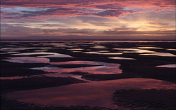 Doctors Point Waitati Otago, ����� ��������