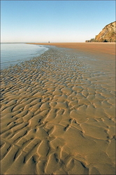 Doctors Point Waitati Otago, ����� ��������