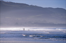 Doctors Point Waitati Otago, ����� ��������