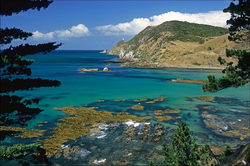 Kaimataitai Bay Nugget Point South Otago, ����� ��������